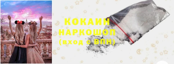 сатива Арсеньев