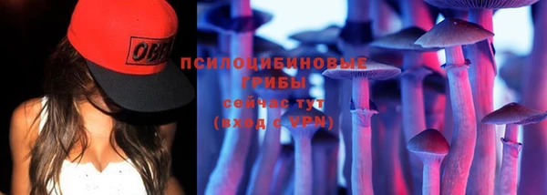 сатива Арсеньев