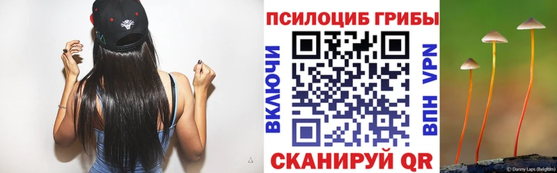 Галлюциногенные грибы прущие грибы  Новая Ладога 